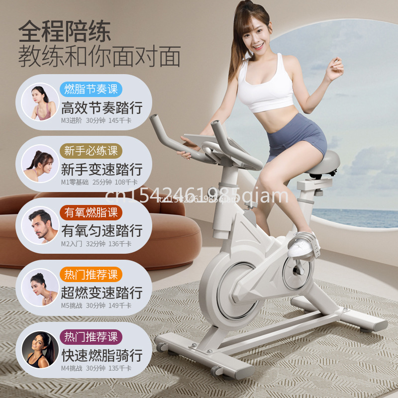 Indoor Upright Fitness Bike Du - Exercise Bike Magnetic Resistance review and price